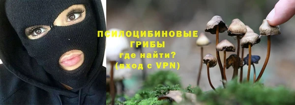 бошки Лагань