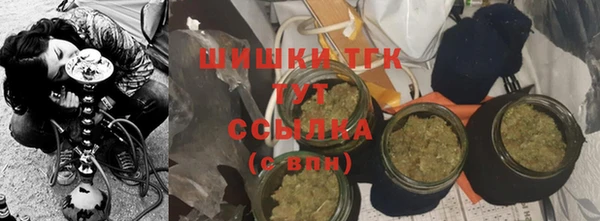 бошки Лагань