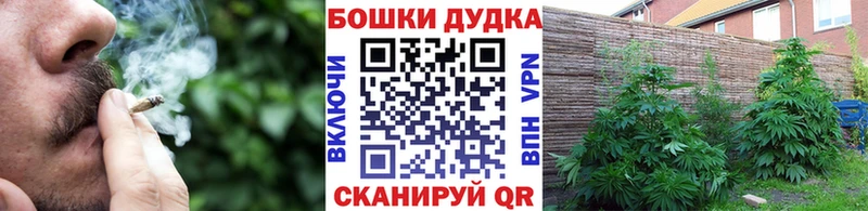 Шишки марихуана тримм  Купить где  Ставрополь 